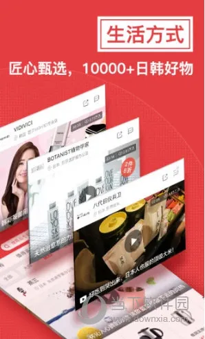 �������պ���2025���°汾
