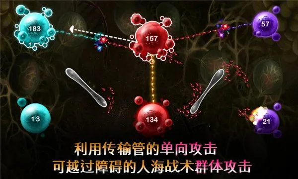 ��ֳս��2(����ս������)