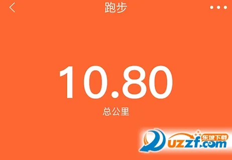 VeryFitPro
