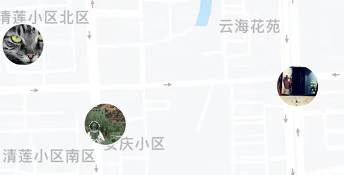 Corgi2026�ٷ����°汾