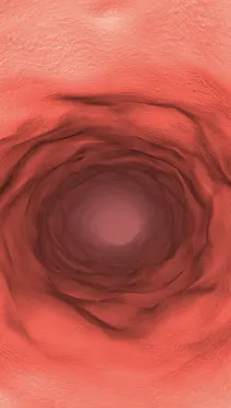 ����̽�հ�׿���ֻ���