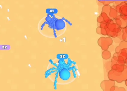 ��Ⱥ����