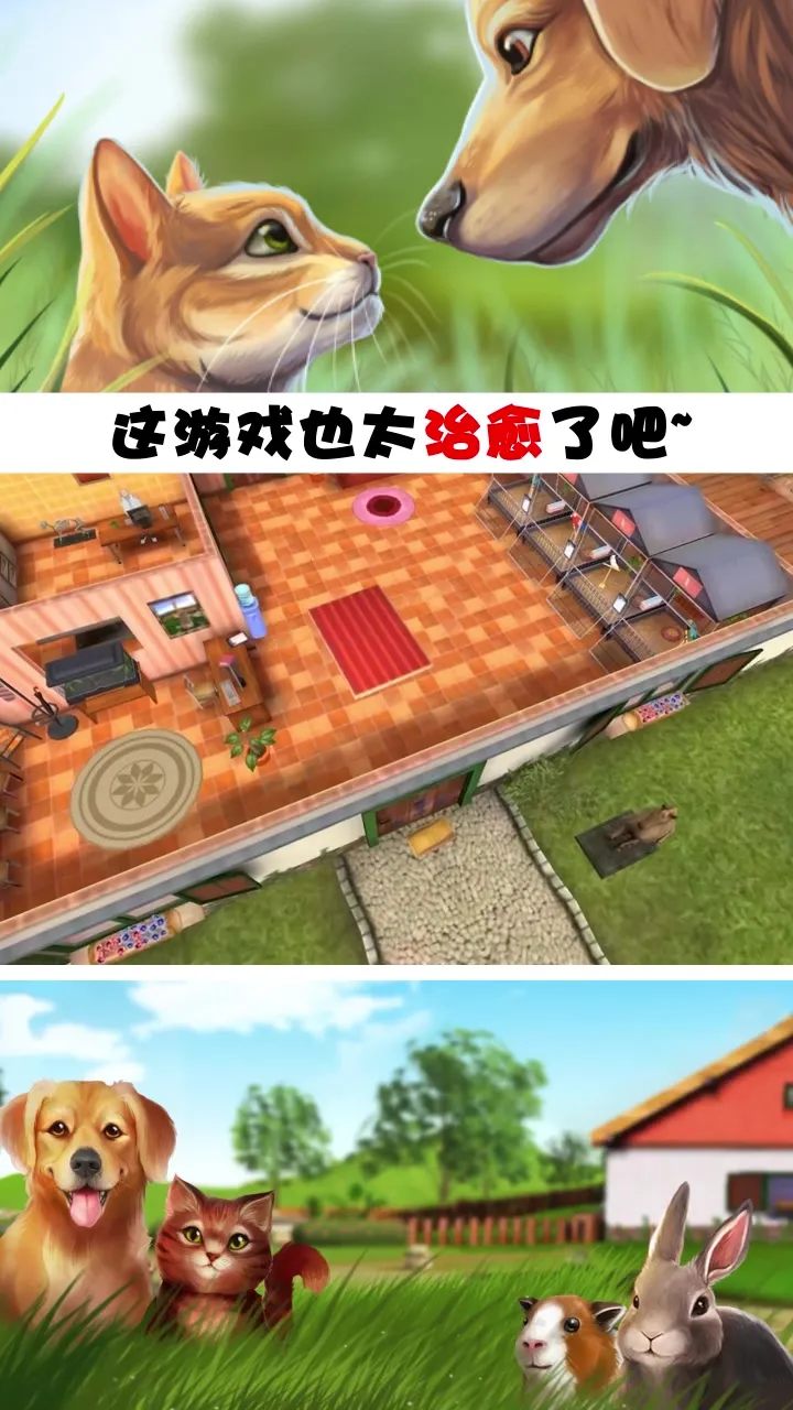 �ҵĶ�������2026���°汾