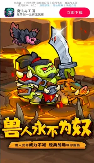 魔法与王国最新手机版 魔法与王国最新手机版