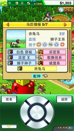 顶级跑马牧场999血统(赛马经营游戏) 顶级跑马牧场999血统(赛马经营游戏)