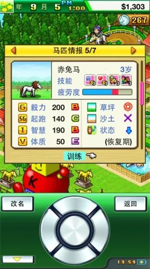 顶级跑马牧场
