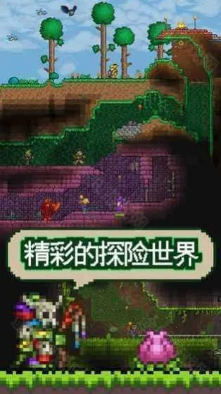 ̩�����Ǽ���������(����ð����Ϸ)