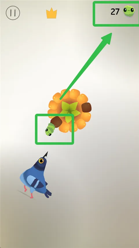 pigeon���ĸ���