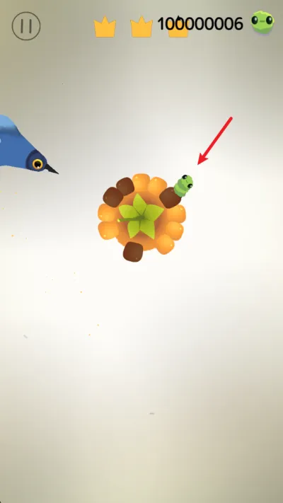pigeon疯狂的鸽子 pigeon疯狂的鸽子