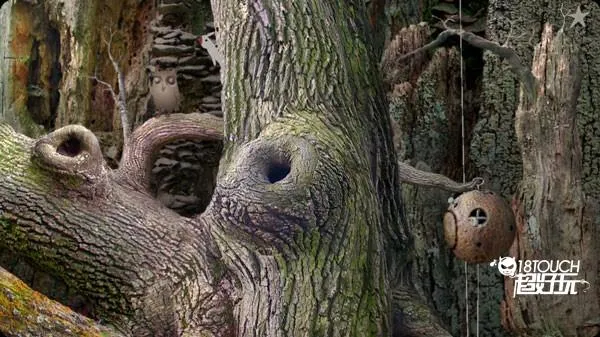 �������ռ�(�ƻ�ð����Ϸ)